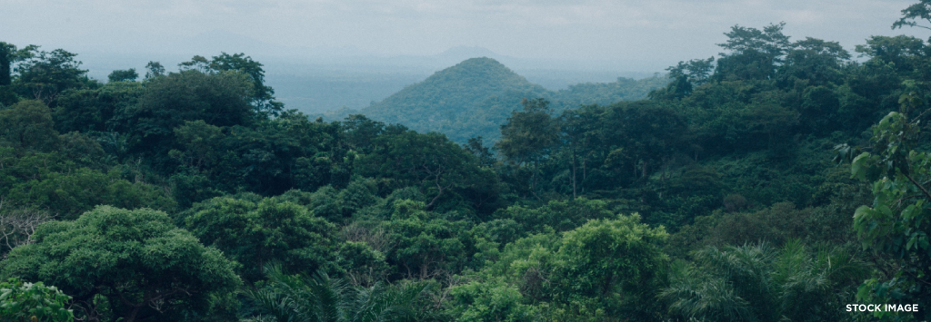 A descriptive alt text