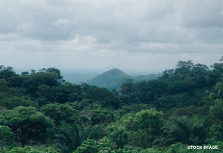 A descriptive alt text